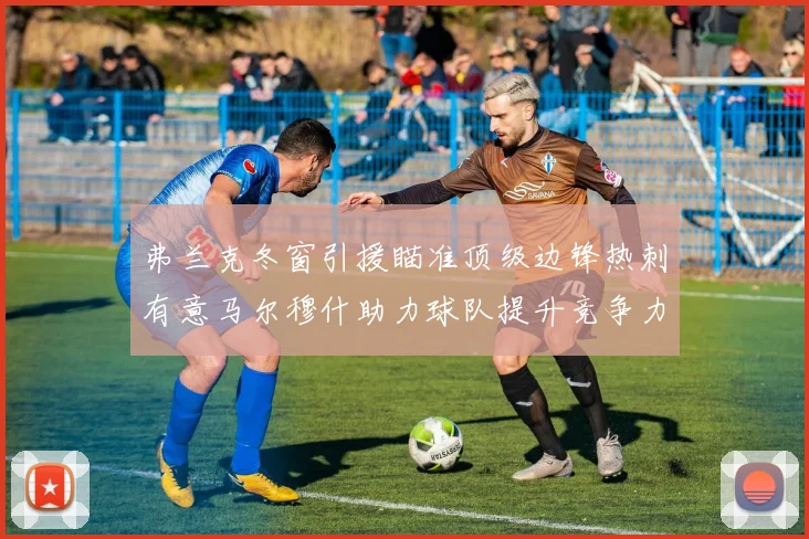 弗兰克冬窗引援瞄准顶级边锋热刺有意马尔穆什助力球队提升竞争力